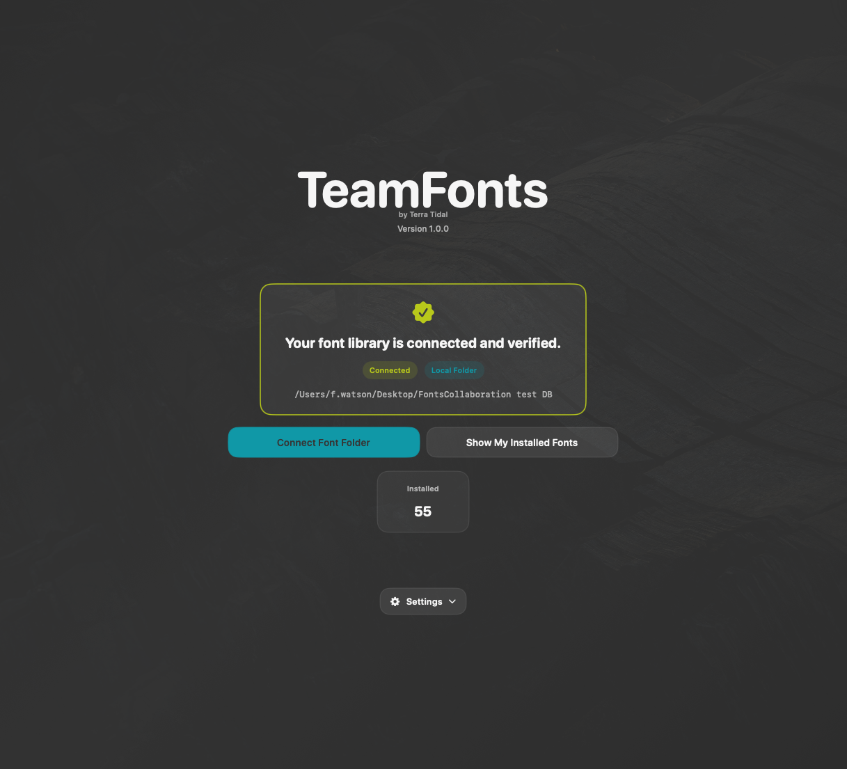 TeamFonts app interface